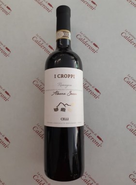 104678677_402193814071975_8807578121909994269_n