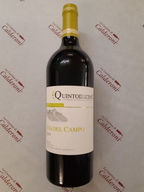 119928926_1471045063087523_6780375132103983850_n