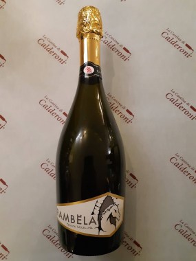 124476837_412792750128216_7489361174217983696_n