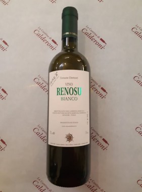 147917837_169112078083160_9116441377276241258_n