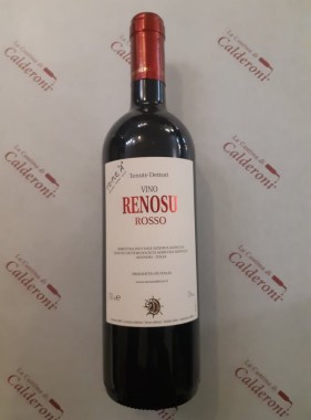 169292841_125545512880932_913209949299636449_n