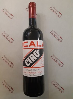 169591731_3771607982955741_4333878812178022060_n