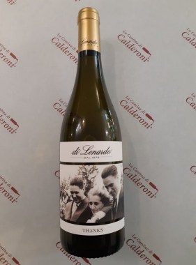 181091858_921780688588483_2477147385701182092_n