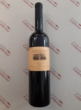 181215717_1703942076463257_5855134549153022550_n