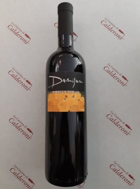 181314969_449113396158988_7335007190516015547_n