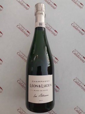 209217500_885237462404801_642972206989774432_n