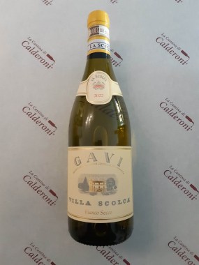 337510614_1990852234591835_6311887703418156473_n