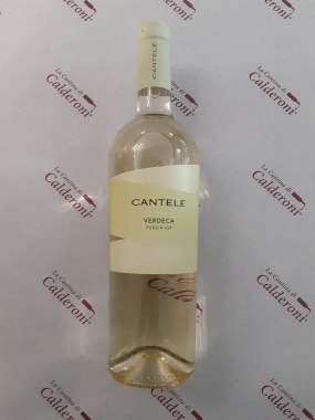 337530675_185946840471524_2730745657708317462_n