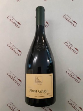 339223486_183001157885451_1626739124021910648_n