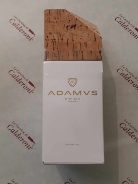 367430980_619747160275405_2843666907596152791_n