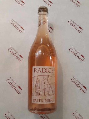 367435801_652892460241919_4846163082703636781_n