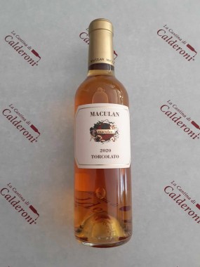 367508545_958639262104929_5159985297193157374_n