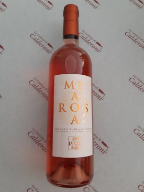 68252121_477761863042439_2762595691468423168_n