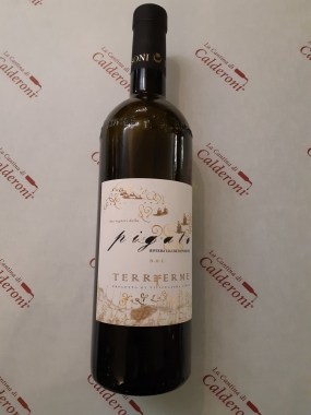 71761290_482729859122986_9069240134641123328_n