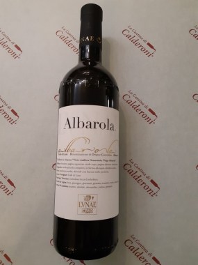 72126597_2533421393403555_4947349506589982720_n