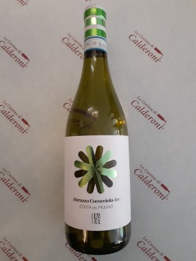 72324321_3125035807721521_7276967178421665792_n