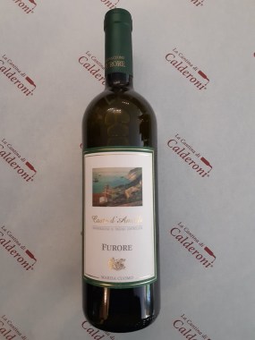 72449441_1042776429386734_6884228398143504384_n